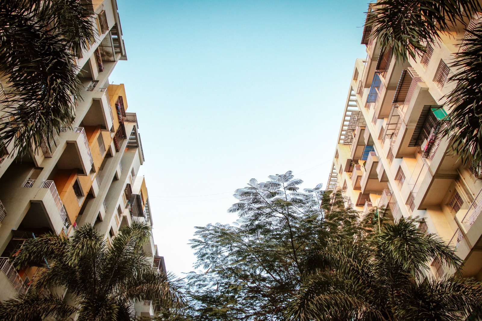 WhatsApp Image 2025-11-07 at 12.12.27 PM