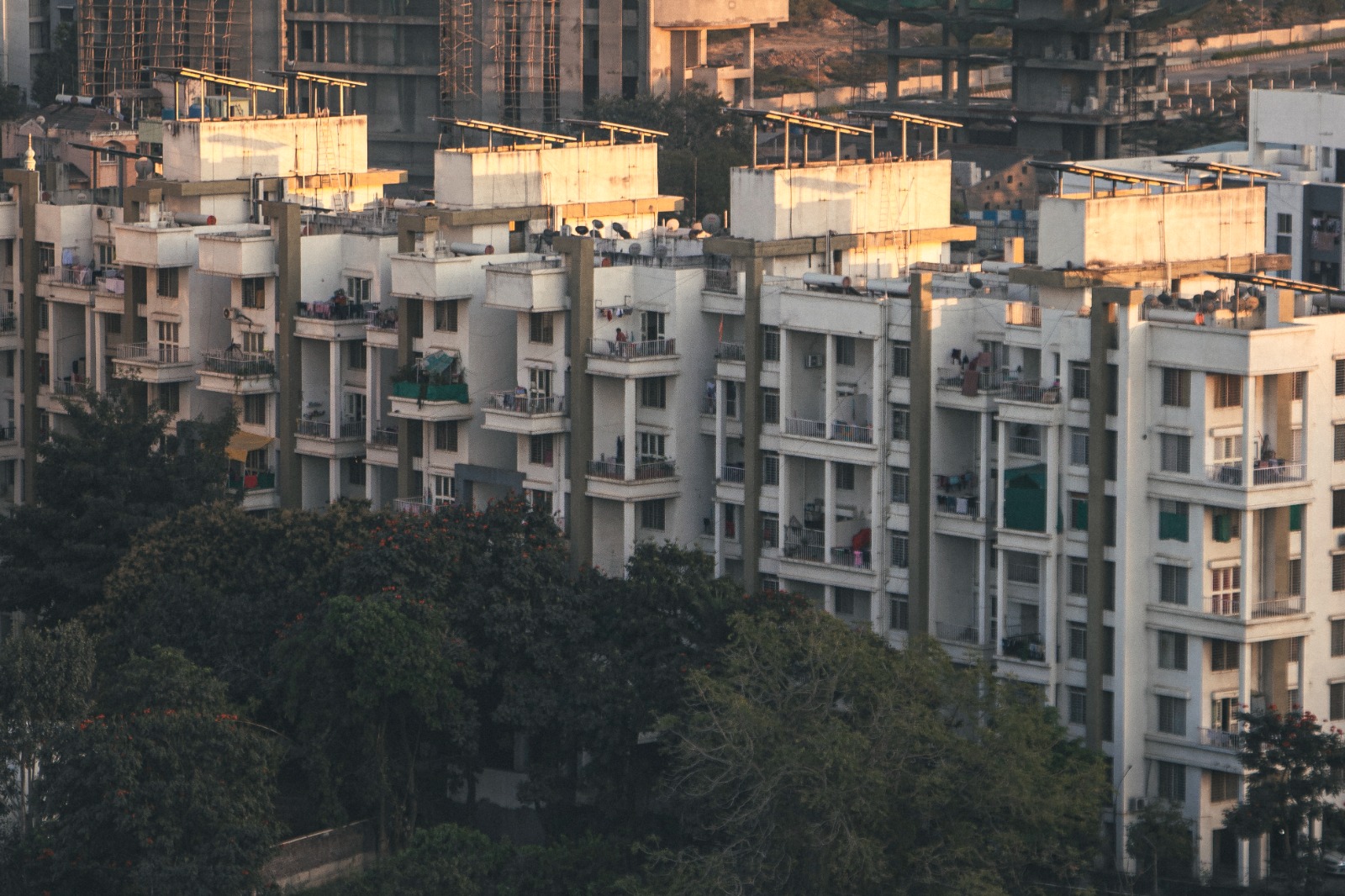 WhatsApp Image 2025-11-10 at 3.10.44 PM (1)