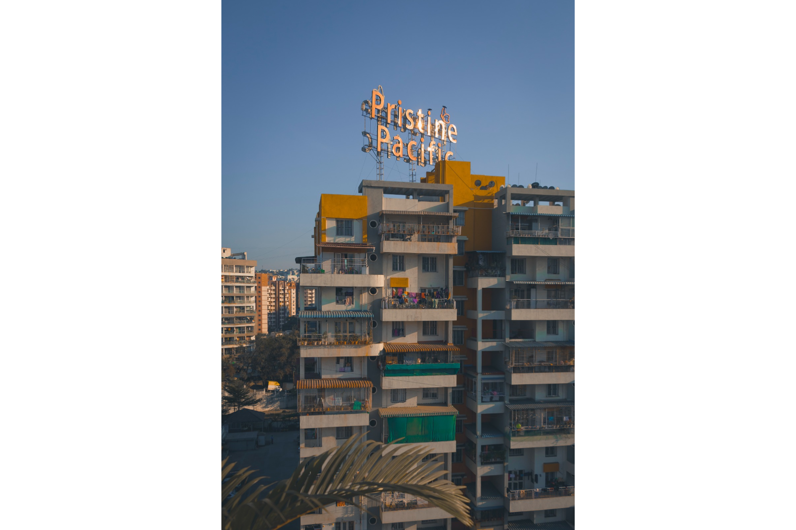 WhatsApp Image 2025-11-10 at 3.10.44 PM (2) (3)