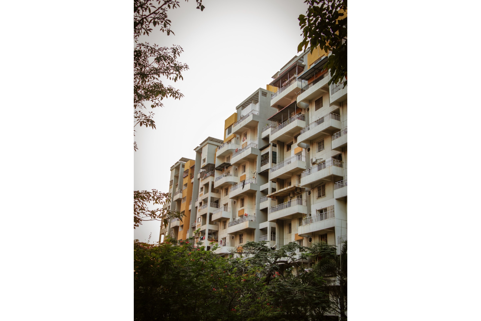 WhatsApp Image 2025-11-10 at 3.10.44 PM (2) (4)